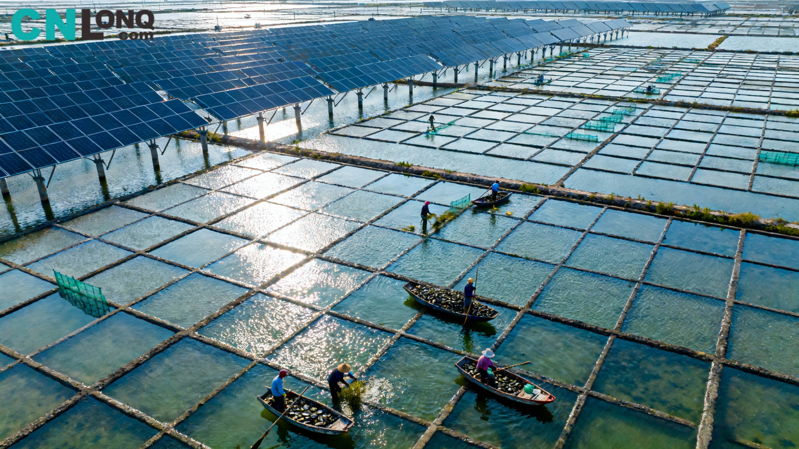 Investointi yhteensä 1,2 miljardia RMB! Xindao Qingkoun suolakenttä 250 MW 